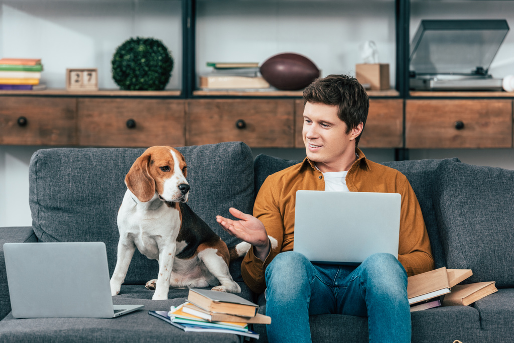 Étudiant joyeux avec livres et ordinateur portable assis sur le canapé avec chien beagle
 - Photo, image