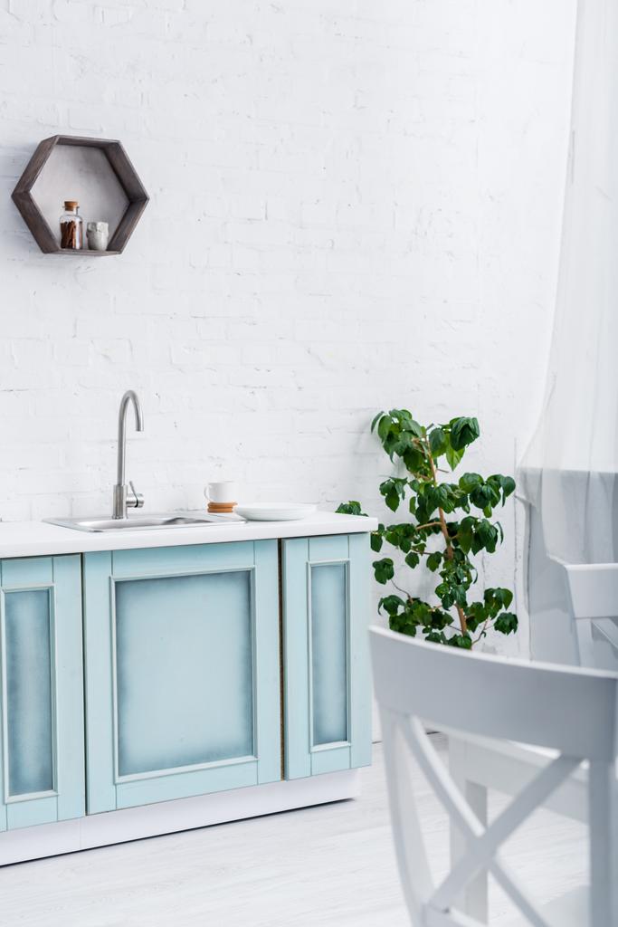 interiér lehké moderní kuchyně bílé a tyrkysové s zelených rostlin - Fotografie, Obrázek