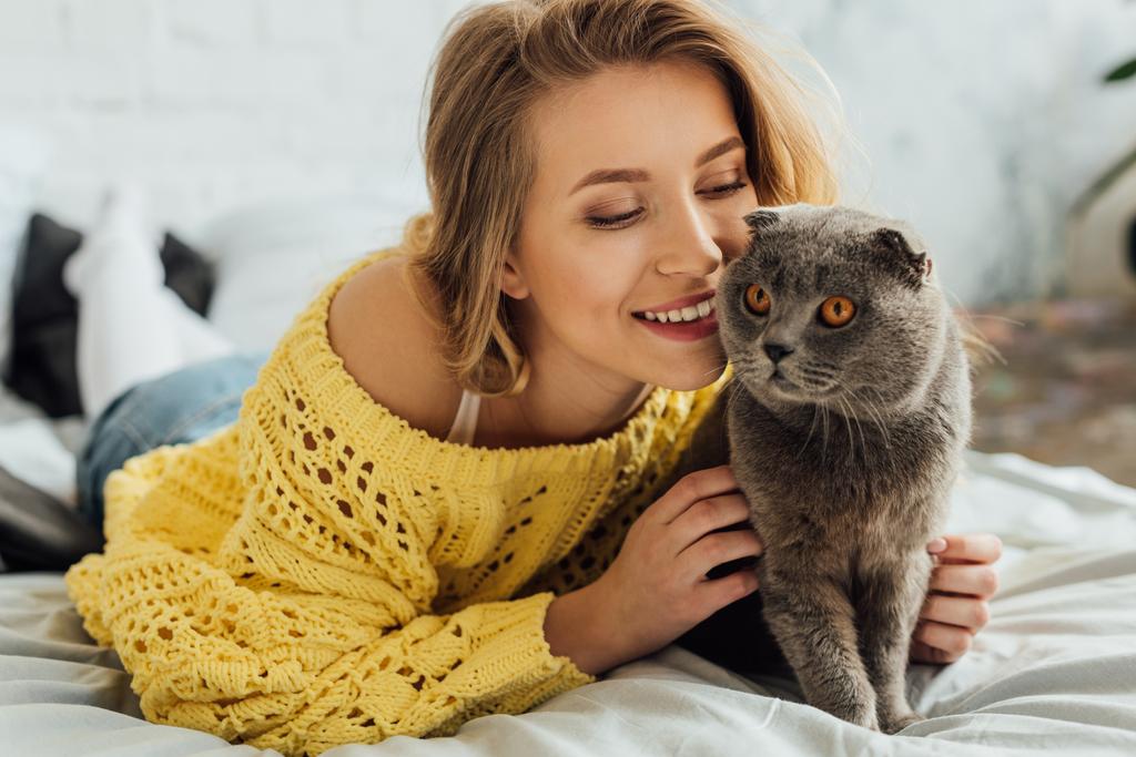 bela menina sorridente em camisola de malha abraçando adorável escocês dobra gato em casa
 - Foto, Imagem