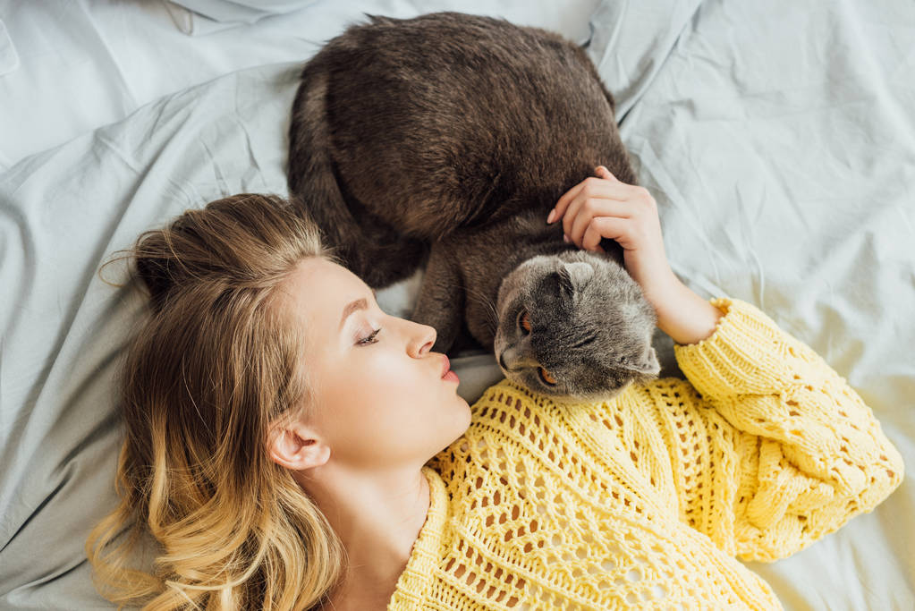 felülnézet szép lány duzzogó ajkak és simogató skót Fold macska, míg az ágyban fekve otthon - Fotó, kép