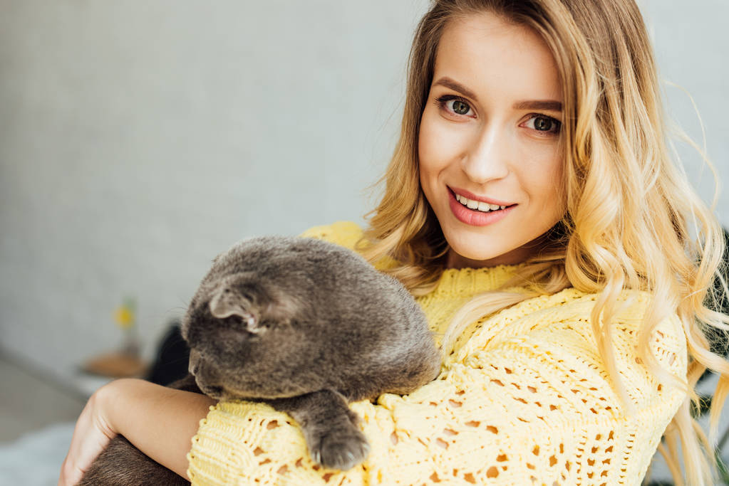 カメラを見てかわいいスコティッシュ・フォールド猫を抱きしめたニットセーターの美しい笑顔  - 写真・画像
