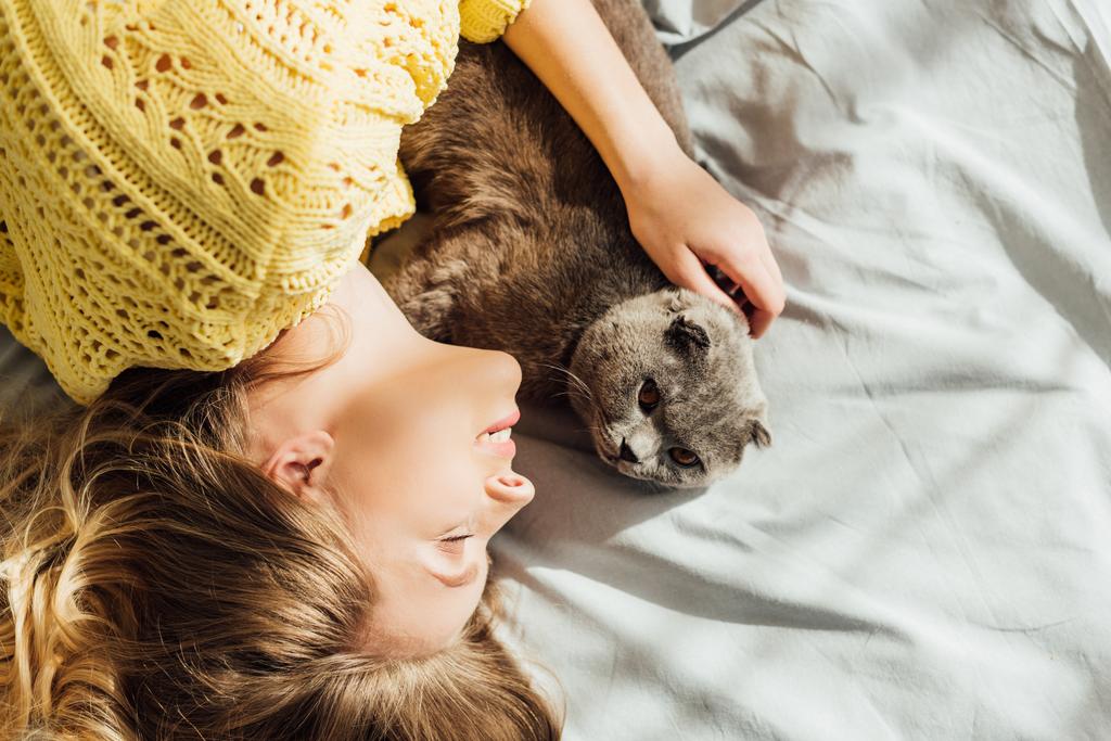 bovenaanzicht van mooie jonge vrouw slapen in bed met schattige Schotse fold Cat - Foto, afbeelding