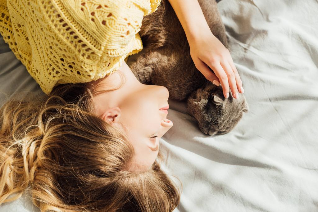Draufsicht der schönen jungen Frau, die im Bett mit schottischer Faltkatze schläft - Foto, Bild