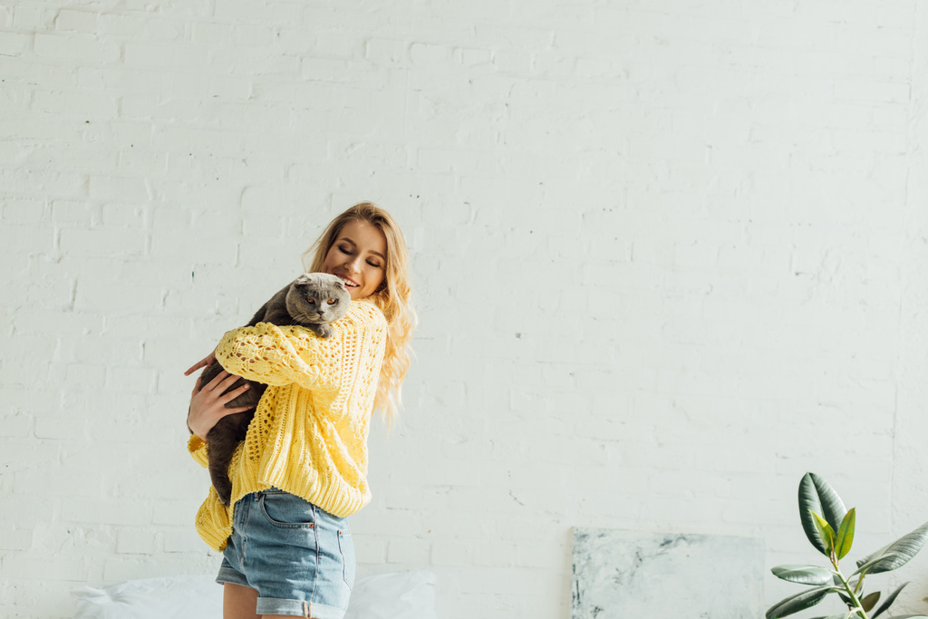 όμορφη χαμογελαστή κορίτσι σε πλεκτό πουλόβερ αγκαλιάζοντας σκωτσέζικη διπλή γάτα  - Φωτογραφία, εικόνα