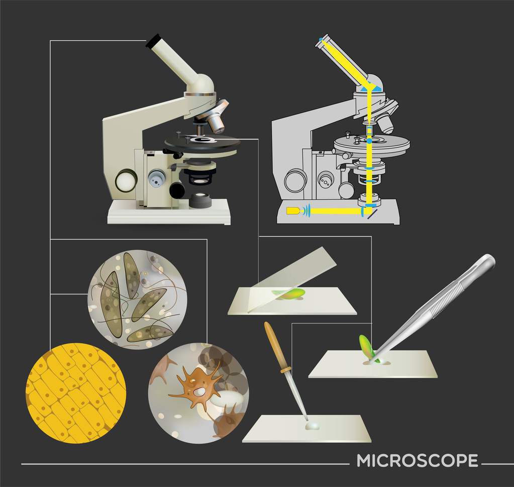 molecular biology science icons - Vector, Image