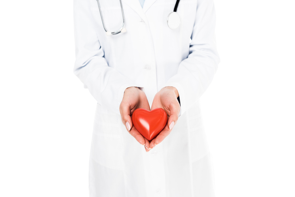Cropped view of doctor in white coat holding plastic heart isolated on white - Photo, Image