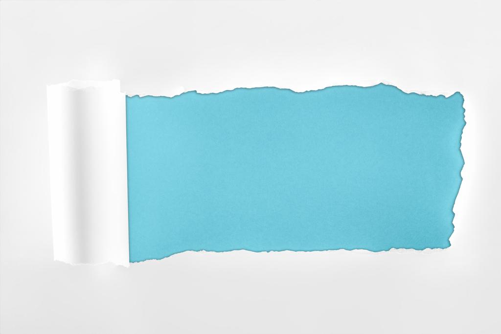 zerrissenes texturiertes weißes Papier mit gerolltem Rand auf blauem Hintergrund  - Foto, Bild