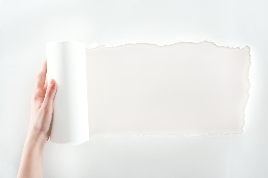 bijgesneden weergave van Woman Holding textuur papier met gerolde rand op witte achtergrond  - Foto, afbeelding