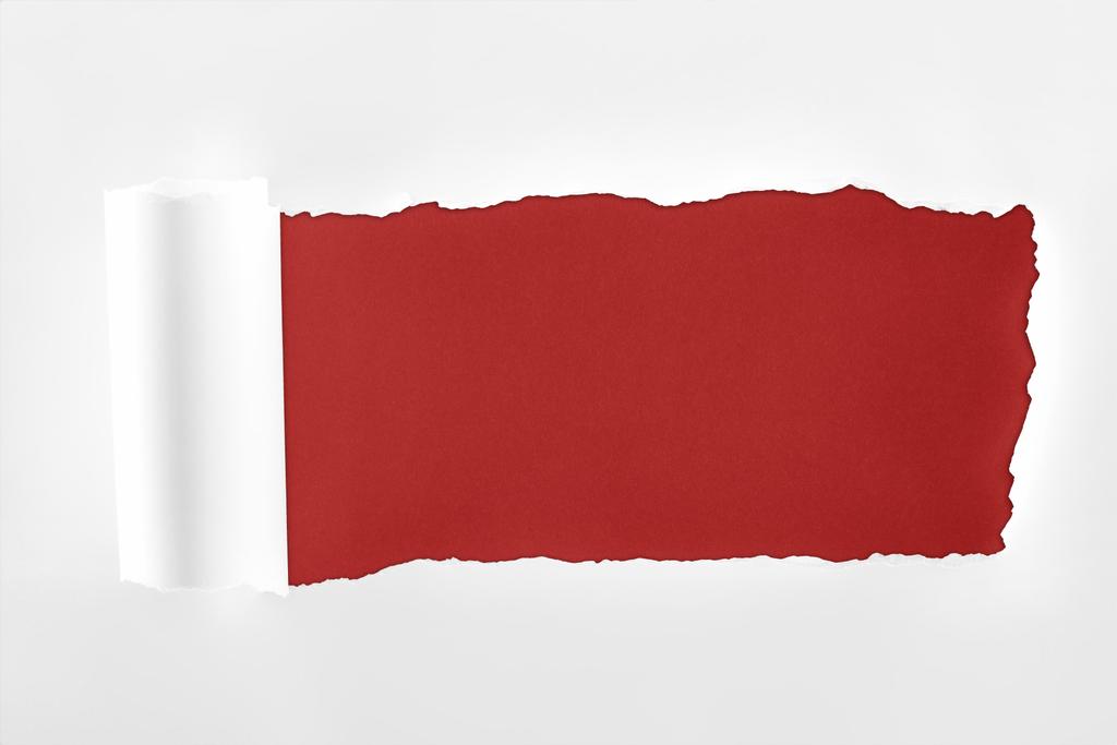 zerlumptes texturiertes weißes Papier mit gerolltem Rand auf weinrotem Hintergrund  - Foto, Bild