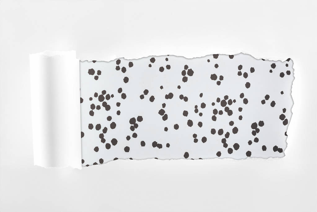 різьблений текстурований білий папір з прокатом на чорно-білому точковому фоні
  - Фото, зображення