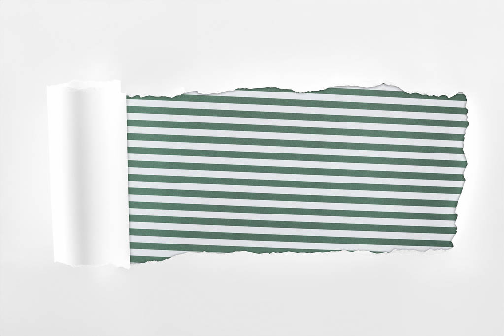 yeşil çizgili arka planda haddelenmiş kenar ile düzensiz dokulu beyaz kağıt  - Fotoğraf, Görsel