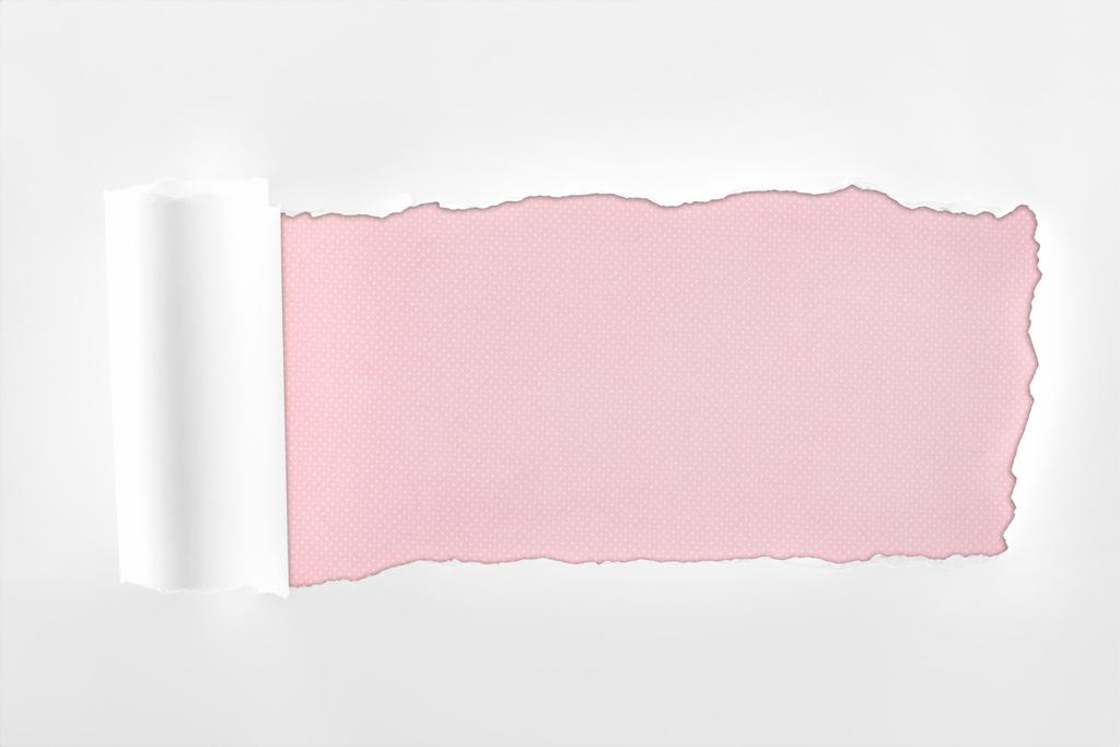 ピンクの背景に圧延エッジを持つ不規則なテクスチャの白い紙  - 写真・画像