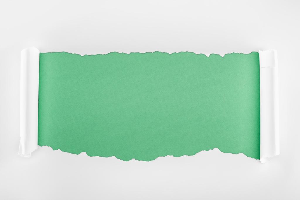 порванная текстурная белая бумага с загнутыми краями на светло-зеленом фоне
  - Фото, изображение