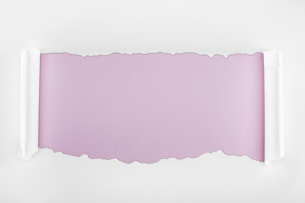 zerrissenes weißes strukturiertes Papier mit Lockenrändern auf hellviolettem Hintergrund  - Foto, Bild