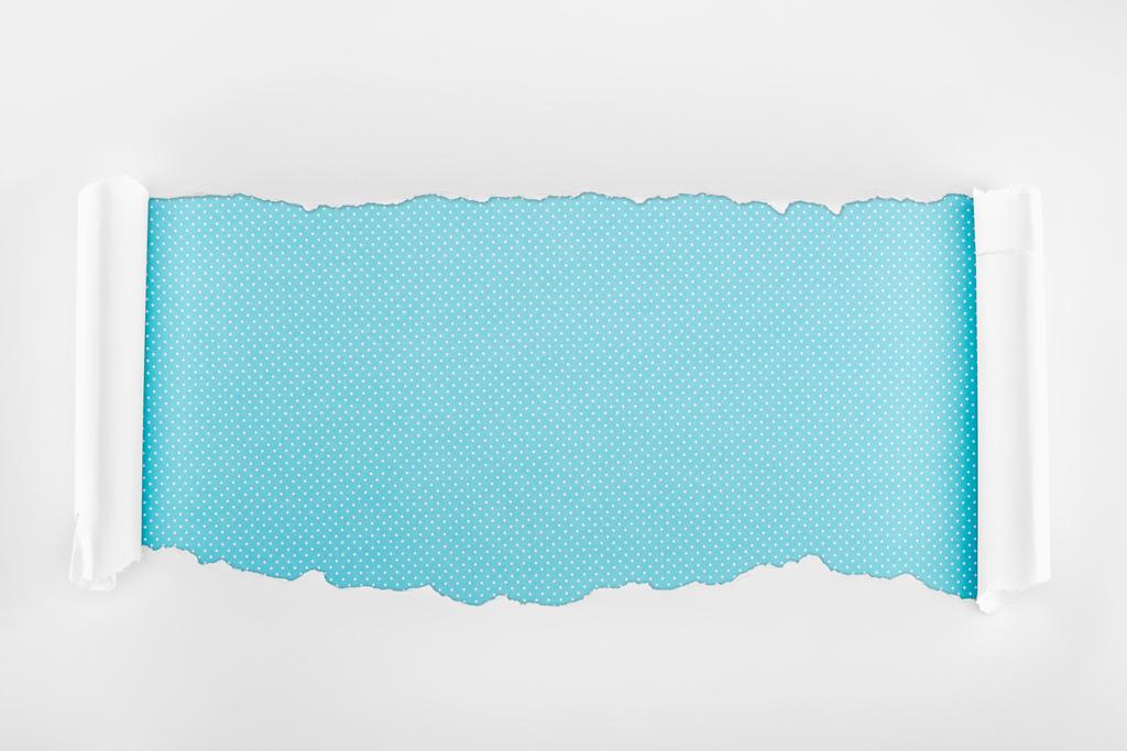 青い点線の背景にカールエッジを含むリッピングされる白いテクスチャの紙  - 写真・画像