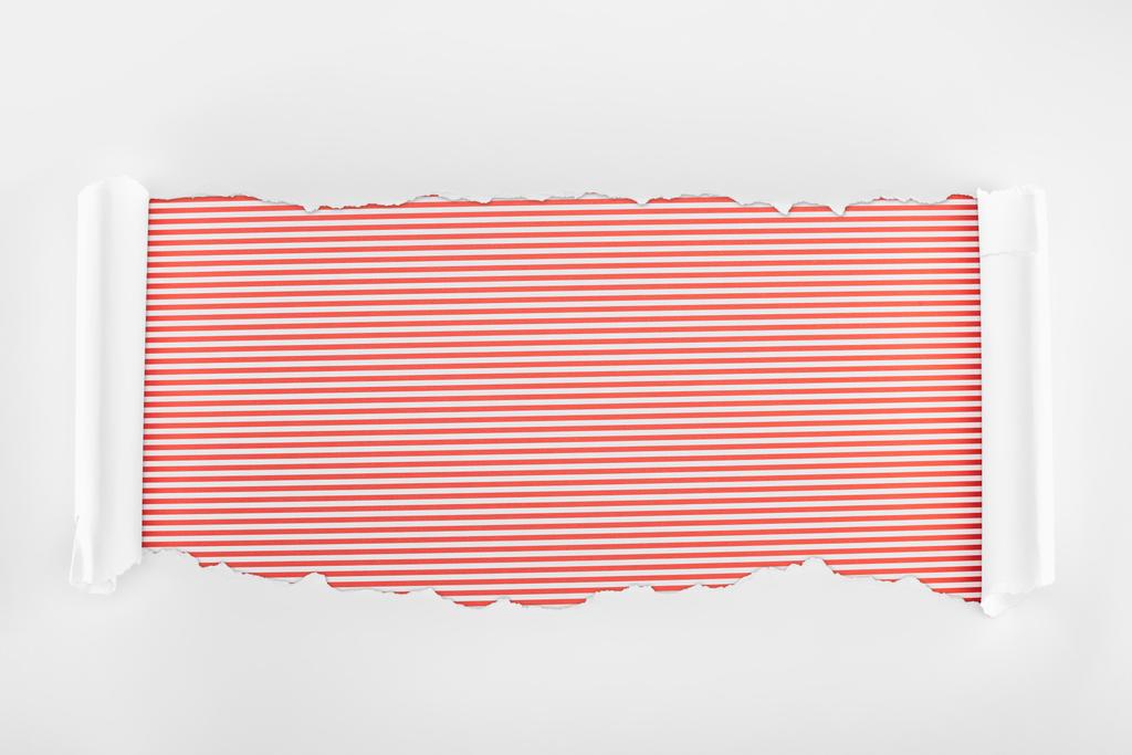 σκισμένη λευκή υφή χαρτί με καμπυλωτή άκρα σε κόκκινο ριγέ φόντο  - Φωτογραφία, εικόνα