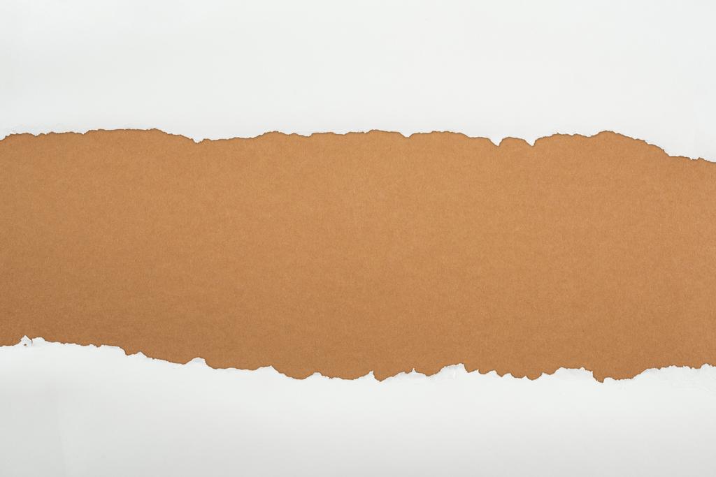 ragged white textured paper with copy space on brown background  - Photo, Image