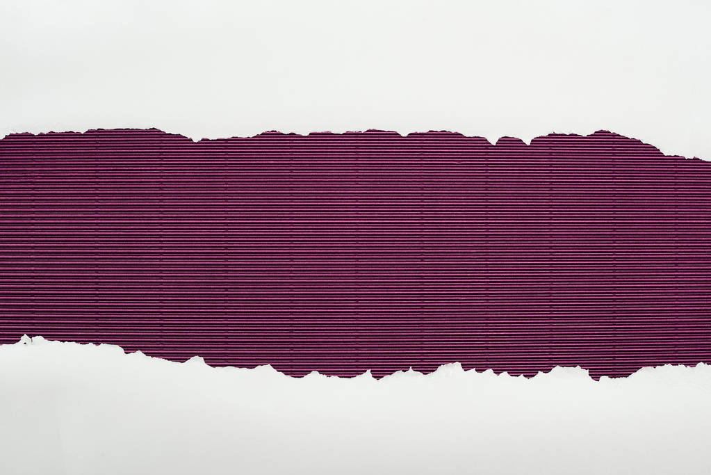 carta strutturata bianca strappata con spazio di copia su sfondo a strisce viola
  - Foto, immagini