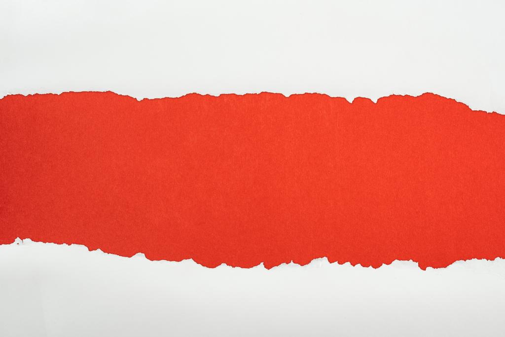 papel texturizado blanco rasgado con espacio de copia sobre fondo rojo
  - Foto, Imagen