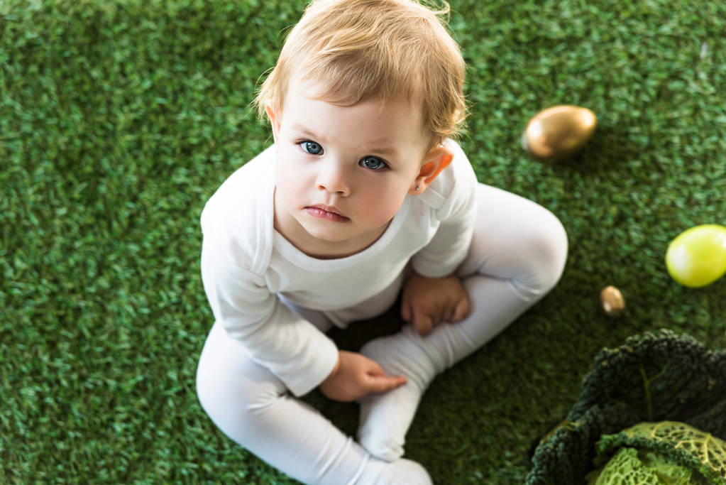 enfant rêveur assis sur l'herbe verte près des œufs d'Ester et du chou de Savoie, et regardant la caméra
 - Photo, image
