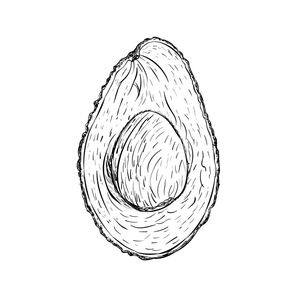 Avocado illustratie, hand getekende vector  - Vector, afbeelding
