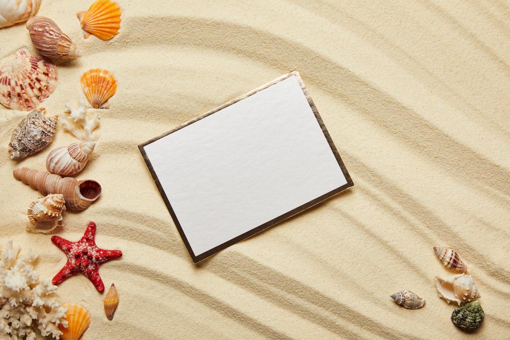 vista superior do cartaz em branco perto de conchas, estrelas-do-mar vermelhas e corais na praia de areia
  - Foto, Imagem