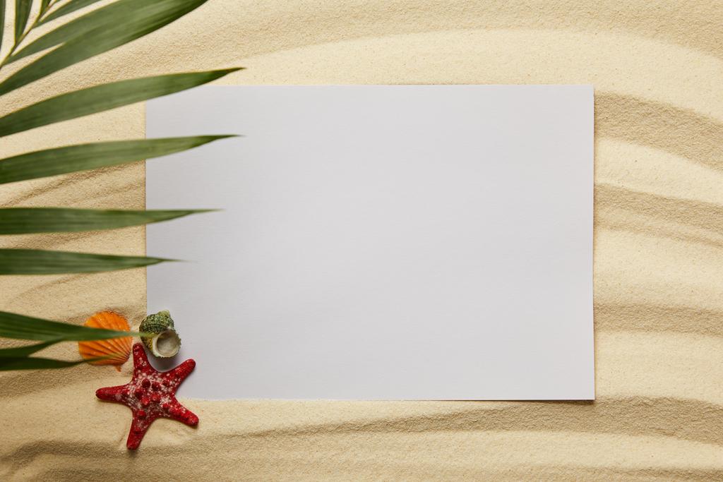vista superior de folha de palma verde perto de cartaz em branco, estrelas do mar e conchas na areia
 - Foto, Imagem