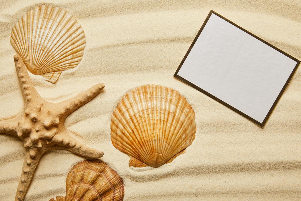 夏の砂のビーチでオレンジの貝殻とヒトデに近い空のプラカード ロイヤリティフリー写真 画像素材