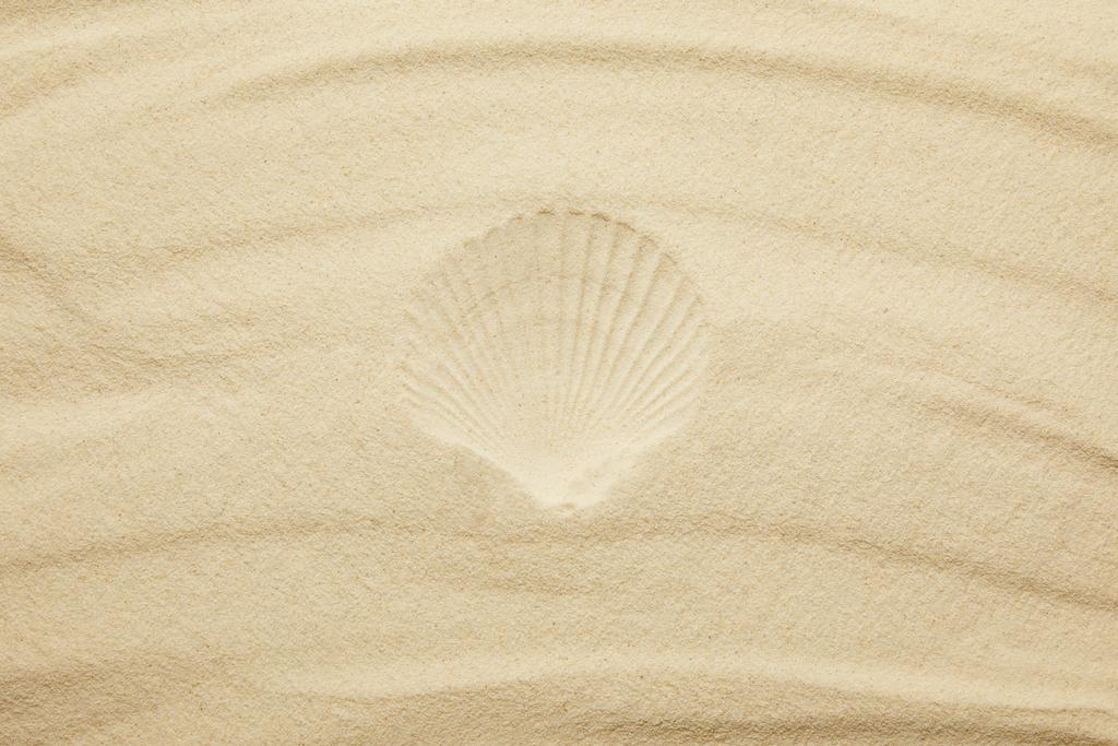 top view of sandy beach with seashell print in summertime  - Photo, Image