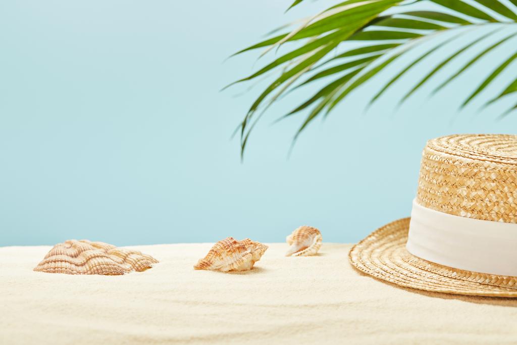 selective focus of straw hat near seashells and green palm leaf in summertime isolated on blue - Photo, Image