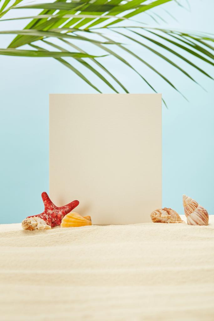 selective focus of blank placard, starfish and seashells on sand near green palm leaves on blue - Photo, Image