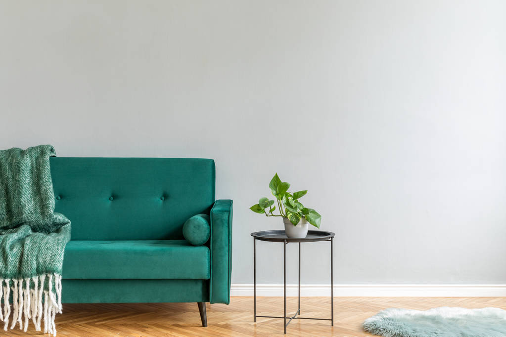 Stílusos zöld bársony kanapé és a friss szobanövékek a modern dohányzóasztalon - Fotó, kép