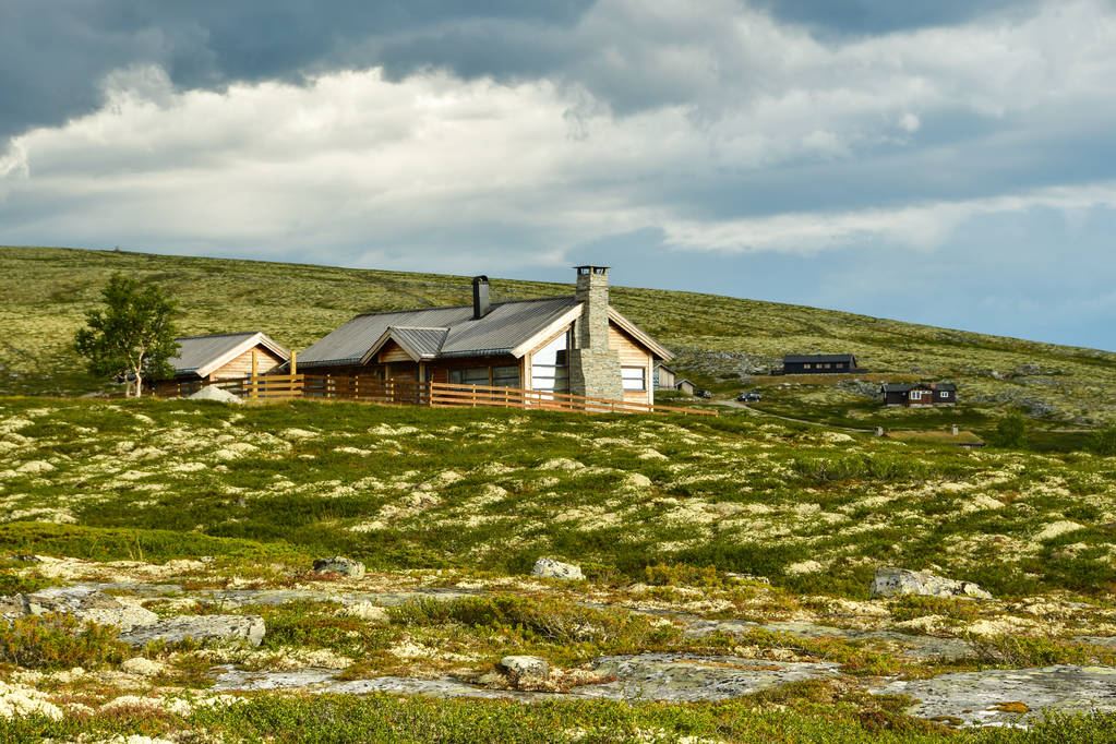 Mysuaeter otta platteland in Noorwegen - Foto, afbeelding
