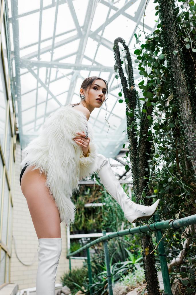 Low angle view of sexy girl in faux fur coat and underwear posing in orangery - Photo, Image