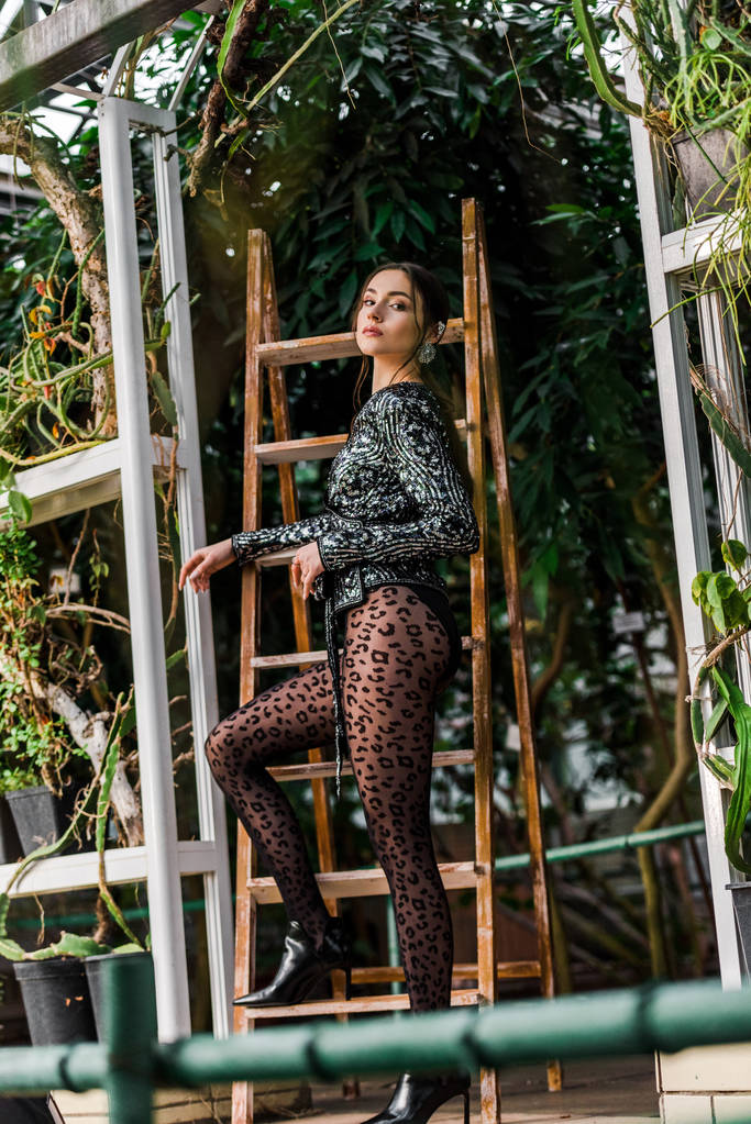 Femme sexy en collants noirs debout près de l'échelle en bois en orangerie
 - Photo, image