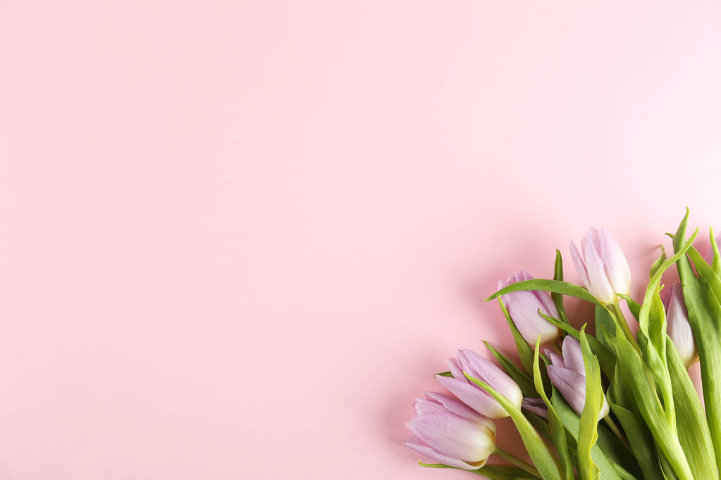Bloemen samenstelling in minimalistische stijl met paarse bloemen. - Foto, afbeelding