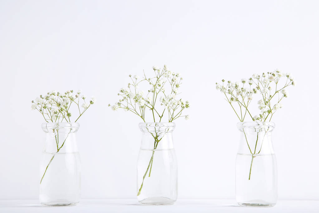 Bílé gypsofilové květy ve skleněných lahvích na šedém pozadí - Fotografie, Obrázek
