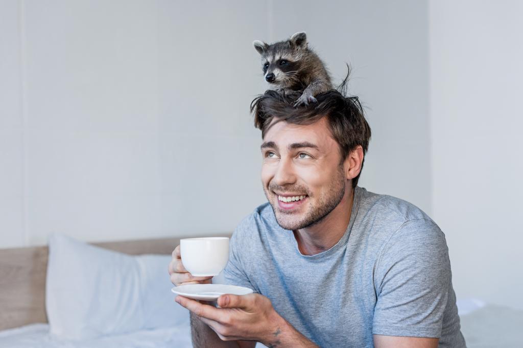 yatak üzerinde otururken kafa tutarak kahve bardağı sevimli rakun ile neşeli yakışıklı adam - Fotoğraf, Görsel