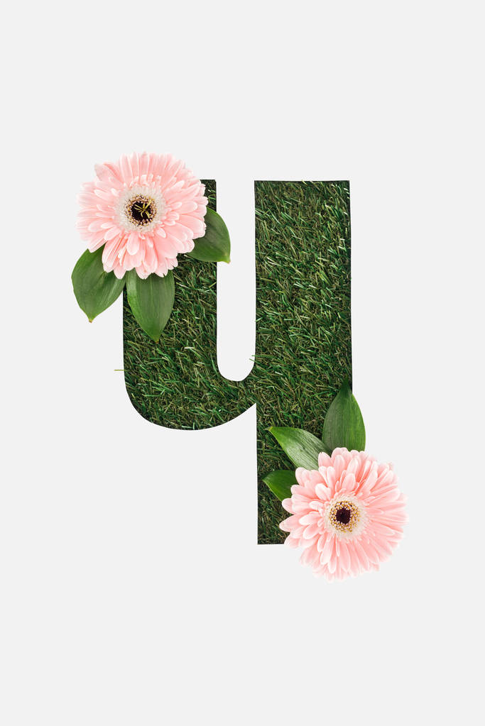 ausgeschnittene kyrillische Buchstaben aus grünem Gras mit rosa Gerberas isoliert auf weiß - Foto, Bild