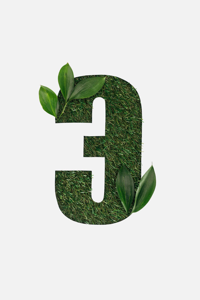 pohled shora na vystřižené písmeno cyrilice abecedy, vyrobené z přírodní zelené trávy s listy izolované na bílém - Fotografie, Obrázek