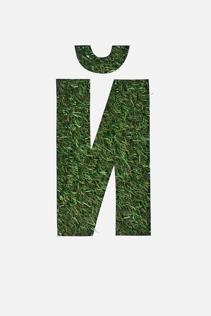 top view of cyrillic letter with fresh grass on background isolated on white - Photo, Image