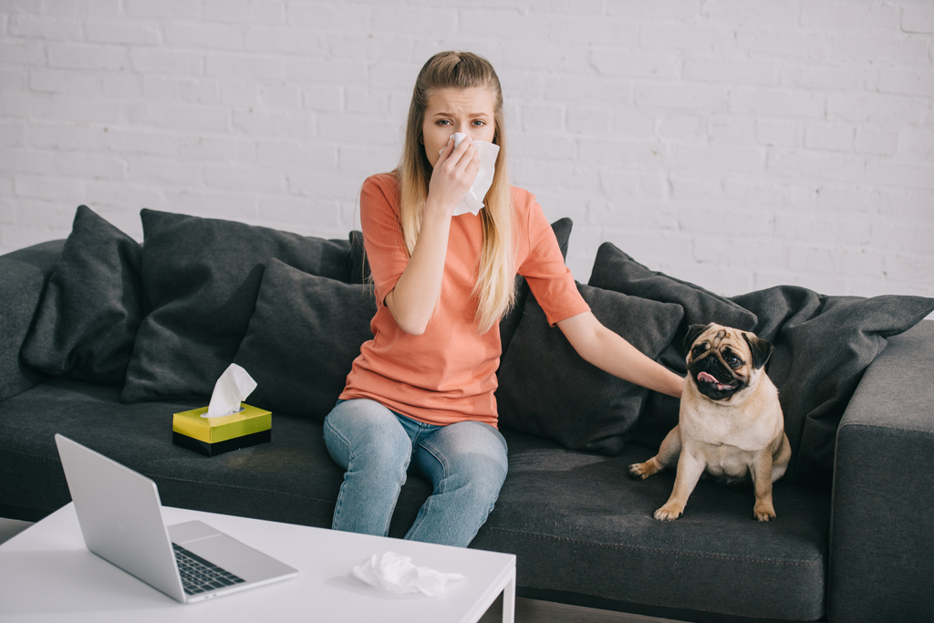 blonde girl sneezing in tissue while sitting with pug dog on sofa  - Photo, Image