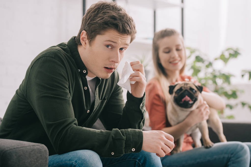 enfoque selectivo de hombre guapo alérgico al perro mirando a la cámara mientras sostiene el tejido cerca de chica alegre con pug
  - Foto, Imagen
