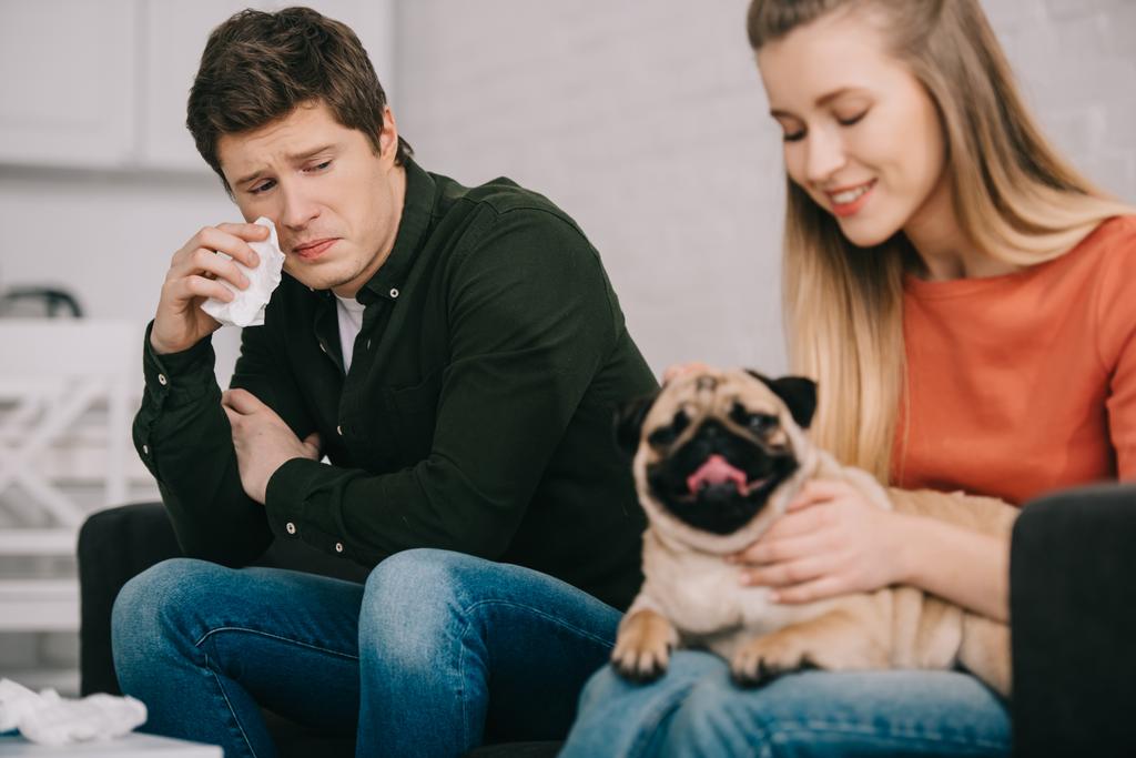 επιλεκτική εστίαση των όμορφος άντρας αλλεργική σκυλί κρατώντας ιστών και βλέπουν γυναίκα με pug   - Φωτογραφία, εικόνα