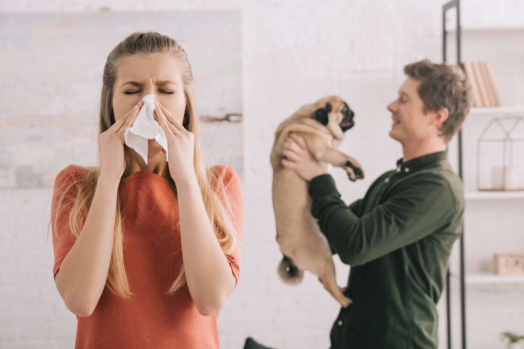 селективное внимание блондинки с аллергией на чихание собаки в белых тканях рядом с веселым мужчиной, держащим мопса
   - Фото, изображение