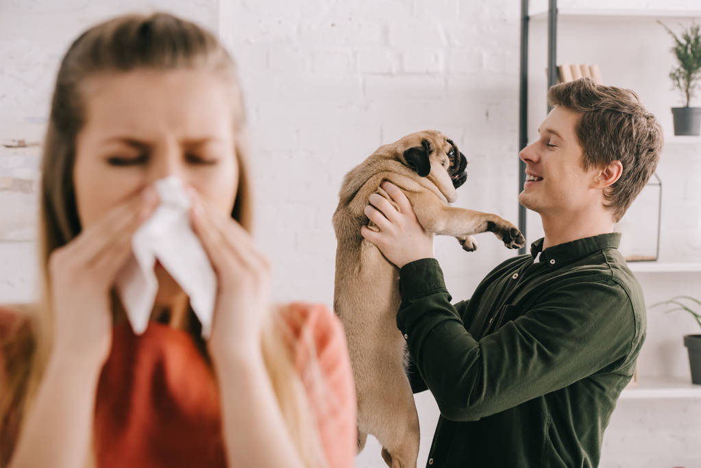 enfoque selectivo de hombre guapo alegre mirando perro lindo pug cerca de mujer estornudando en tejido
  - Foto, imagen