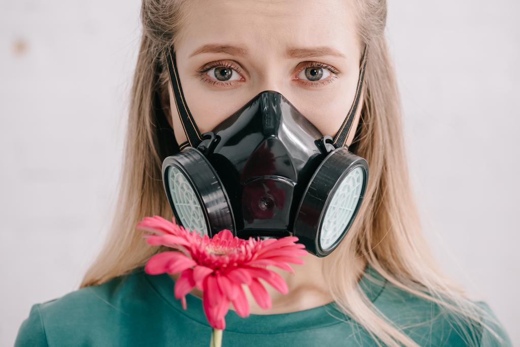 Blondýnka s pylové alergie respirační masku a při pohledu na fotoaparát poblíž květ růžové gerbery  - Fotografie, Obrázek