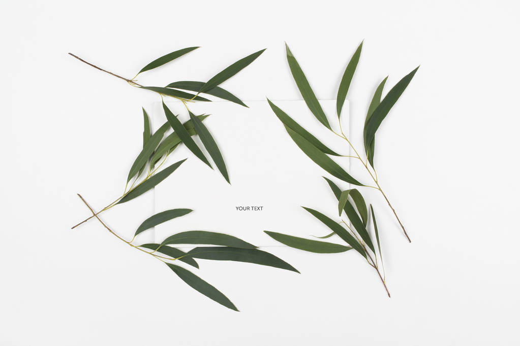 grüne Blätter von Pflanzen mit Platz für Text. minimalistischer floraler Hintergrund. - Foto, Bild