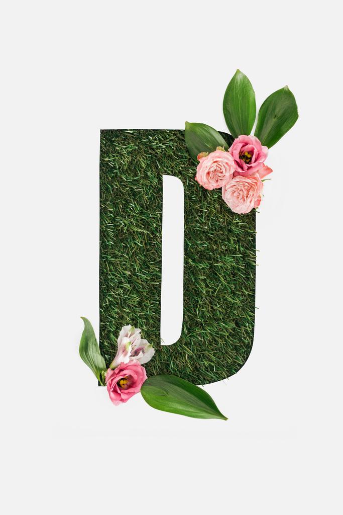vista superior de la letra D recortada sobre fondo de hierba verde con rosas rosadas y hojas verdes aisladas sobre blanco
 - Foto, imagen