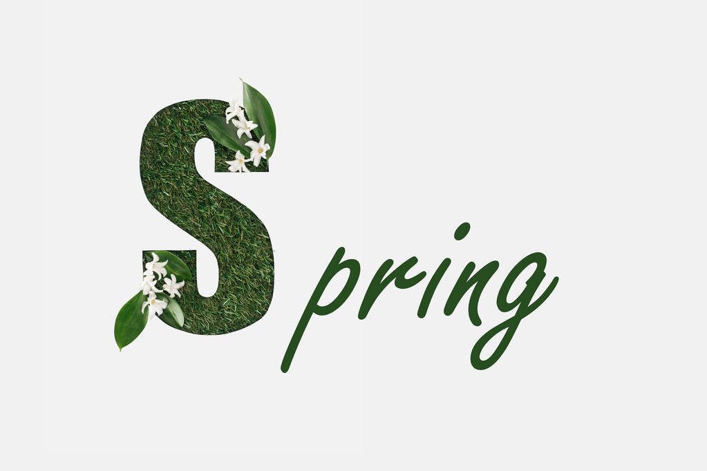 top view of green spring lettering with leaves isolated on white - Photo, Image